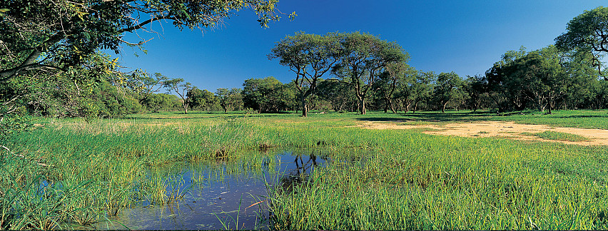 Route 71 to Tzaneen – a different world